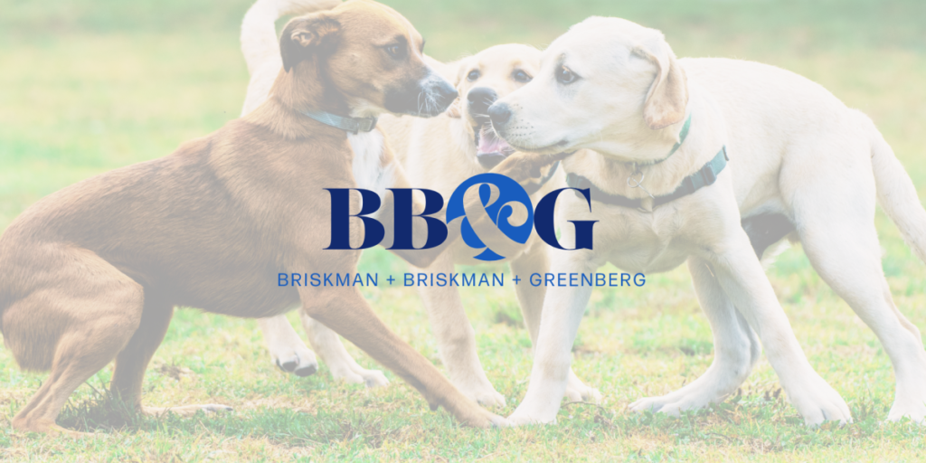 Attorney Paul Greenberg of Briskman Briskman &amp; Greenberg Highlights Seasonal Surge in Dog Bite Incidents